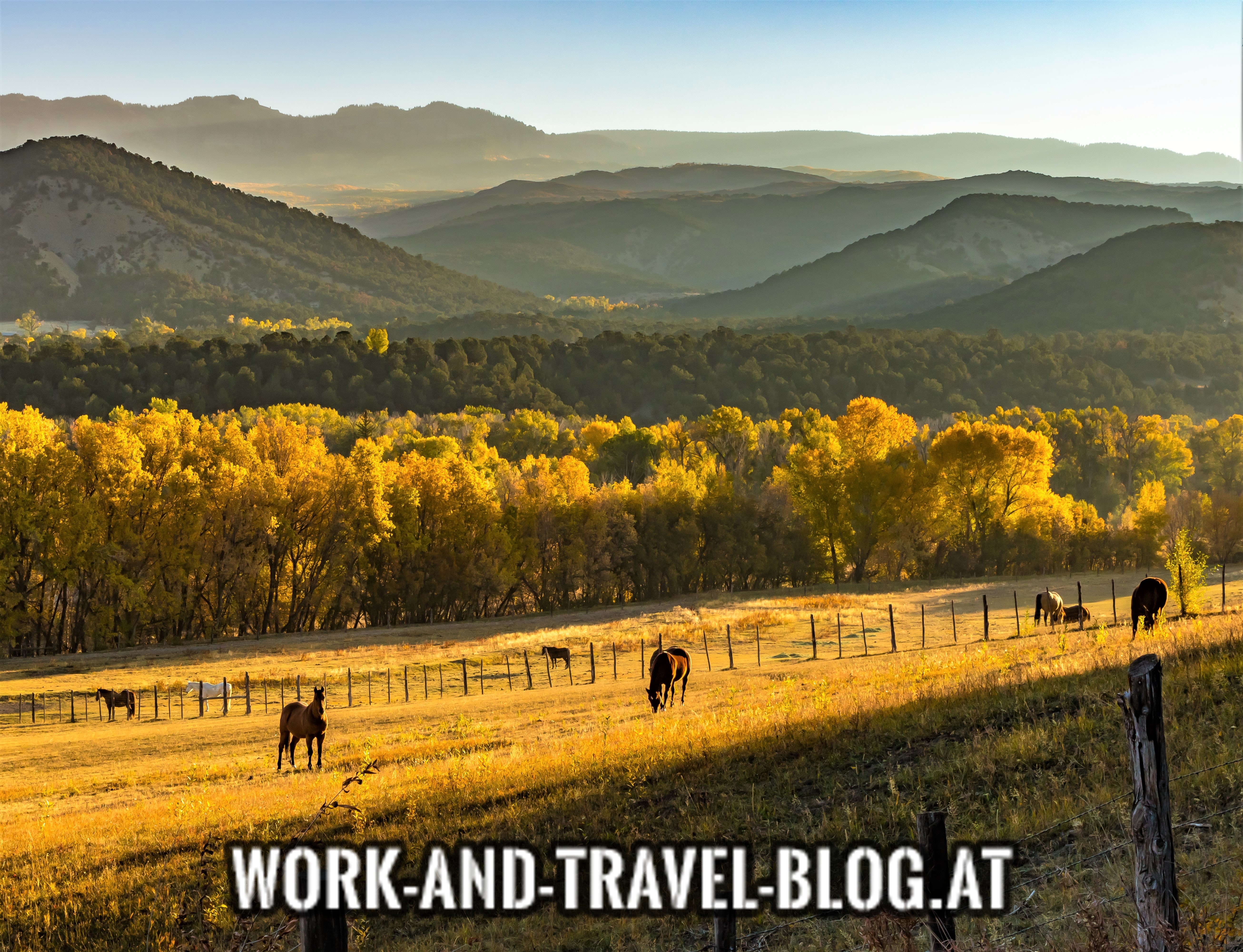 Work and Travel Ranch