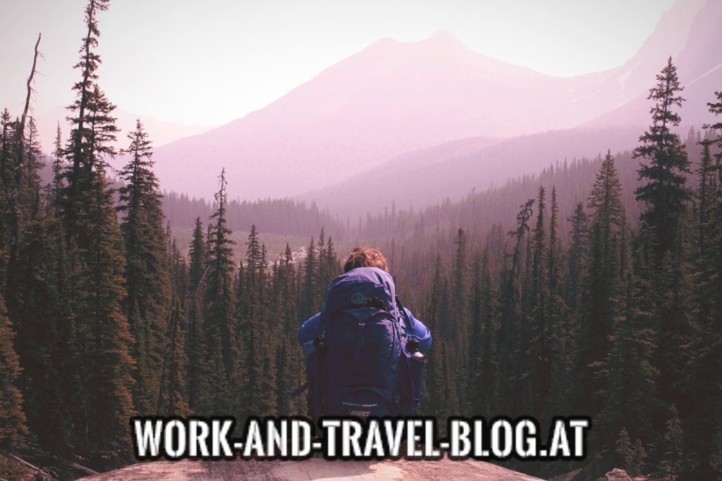 Work and Travel Rucksack