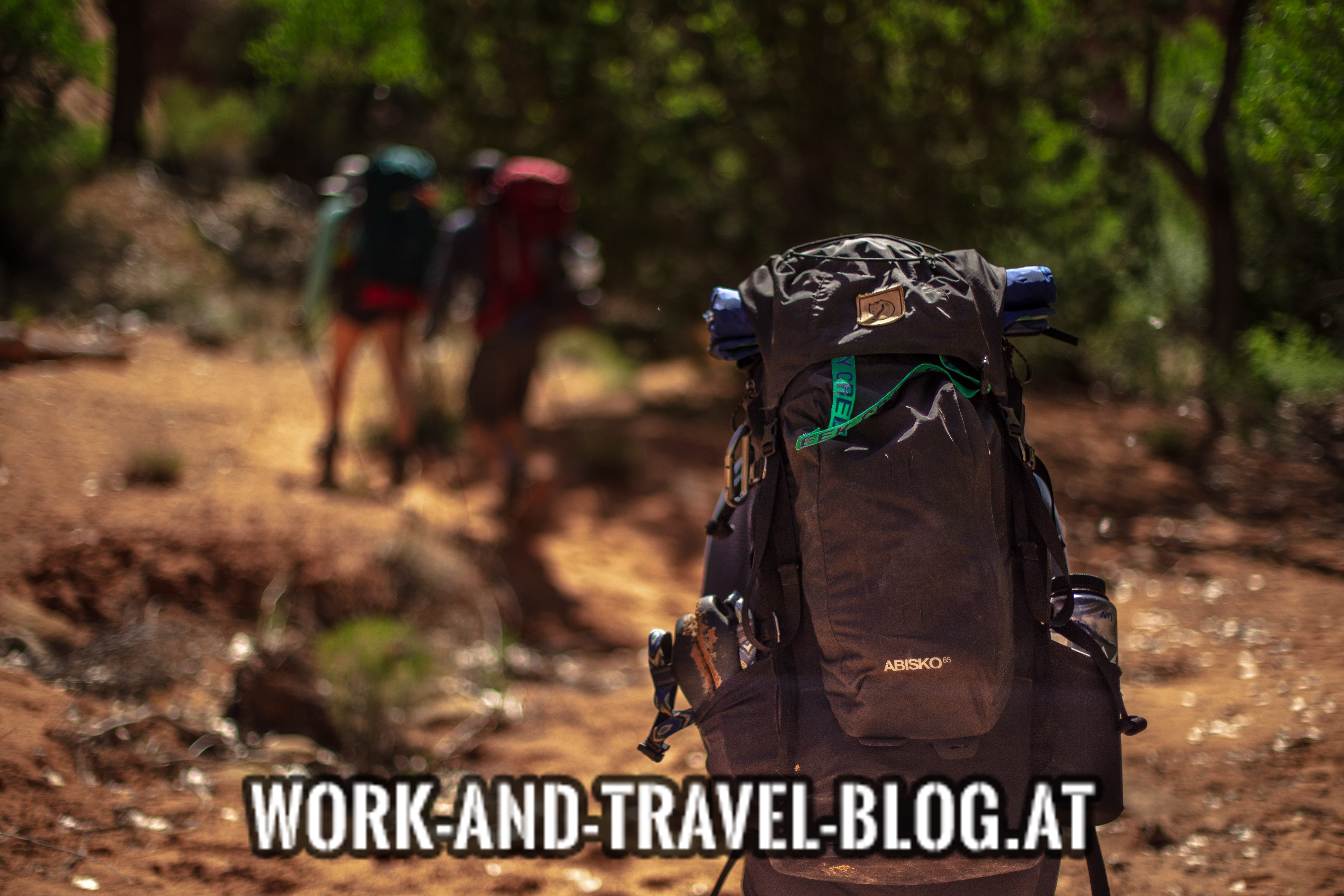 Work and Travel Rucksack